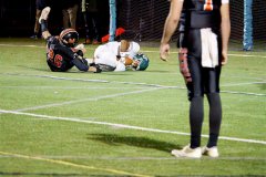 VPA-2025-FOOTBALL-STATE-CHAMPIONSHIP-FINALS-238